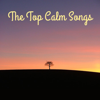 Natural Healing Music Zone - The Top Calm Songs (Relaxation, Meditation, Feel Inner Peace, Bliss & Serenity)