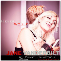 funky junction - Never Would (Remixes)