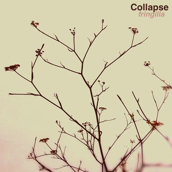 Collapse - Fringilla