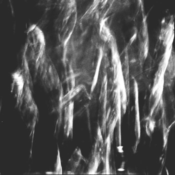 Malk - Reflections