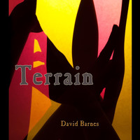 David Barnes - Terrain