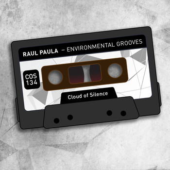 Raul Paula - Environmental Grooves