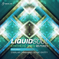 Liquid Soul - Synthetic Vibes (Remixes)
