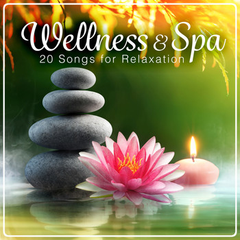 Various Artists - Wellness & Spa - 20 Songs for Relaxation