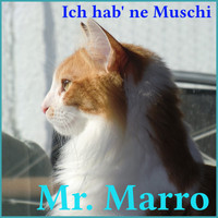 Mr. Marro - Ich hab' ne Muschi (Single Version [Explicit])