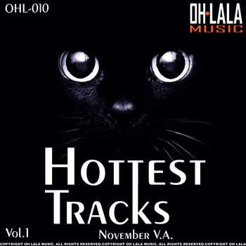 Various Artists - Hottest Tracks November Vol.1