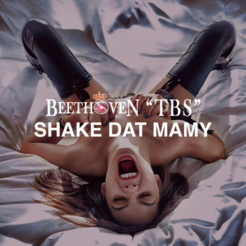 Beethoven tbs - Shake Dat Mamy