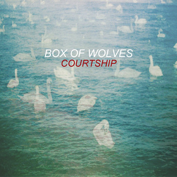 Box Of Wolves - Courtship