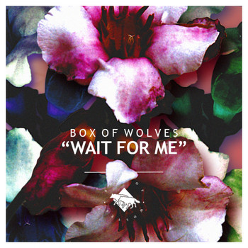 Box Of Wolves - Wait For Me