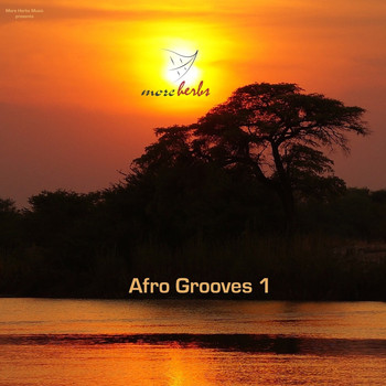 Various Artists - Afro Grooves 1