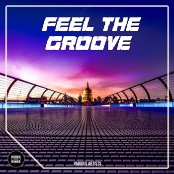 Various Artists - Feel The Groove