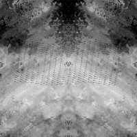 OTODOJO - Through the Phase