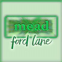 Mead - Ford Lane