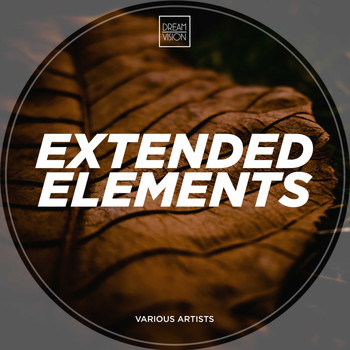 Various Artists - Extended Elements