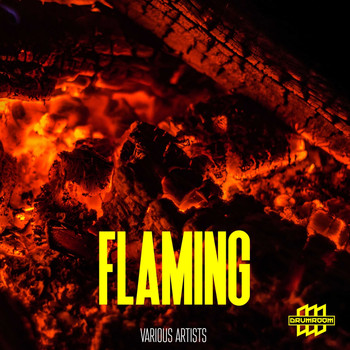 Various Artists - Flaming