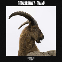 Thomas Conway - Swamp