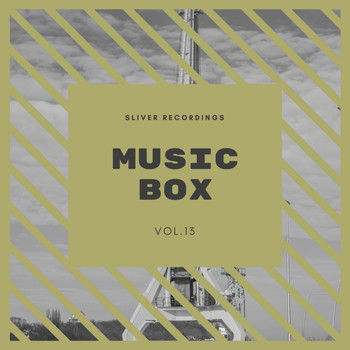 Various Artists - Sliver Recordings: Music Box, Vol.13