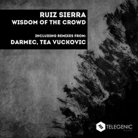 Ruiz Sierra - Wisdom Of The Crowd