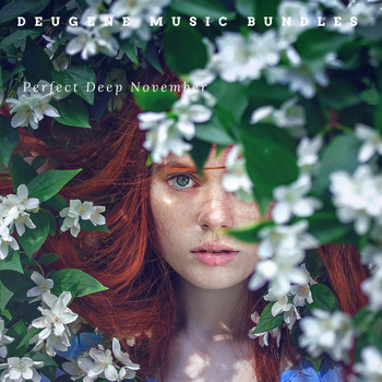Various Artists - Perfect Deep November