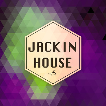 Various Artists - Jackin House V5