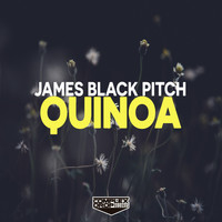 James Black Pitch - Quinoa