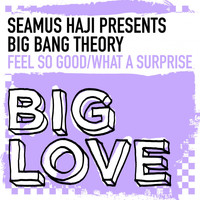 Seamus Haji Presents Big Bang Theory - Feel So Good / What A Surprise