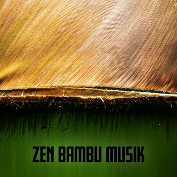 Lugn spa universum - Zen bambu musik