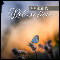 Zen Relaxation Academy - Immerse in Relaxation
