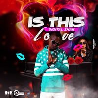 Digital Sham - Is This Love - Single
