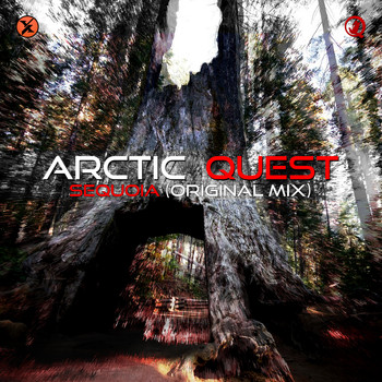 Arctic Quest - Sequoia