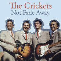 The Crickets - Not Fade Away