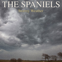 The Spaniels - Stormy Weather