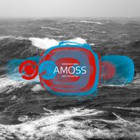 Amoss - Tripped / Why Do We Fall