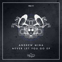Andrew Mina - Never Let You Go EP