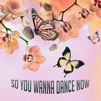 Various Artists - So You Wanna Dance Now