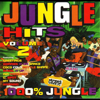 Various Artists - Jungle Hits, Vol. 2