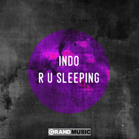 Indo - R U Sleeping