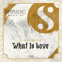 J.Caprice - What Is Love