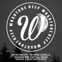 Peter New feat. Victoria Codella - Waiting For The Full Moon