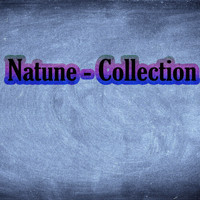 Natune - Collection