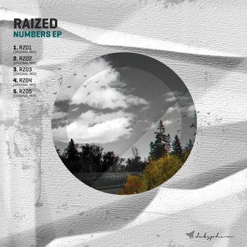 Raized - Numbers EP