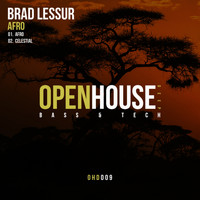 Brad Lessur - Afro