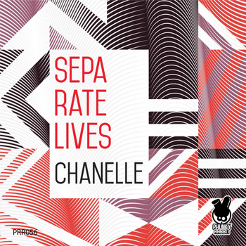 Chanelle - Separate Lives