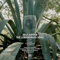 Self Jupiter - The Lemongrass Song