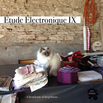 Various Artists - Étude Électronique IX - A French Way of Deep House