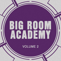 Big Room Academy - Big Room Academy, Vol. 2