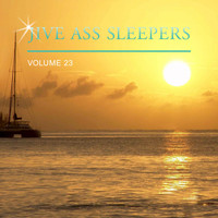 Jive Ass Sleepers - Jive Ass Sleepers, Vol. 23