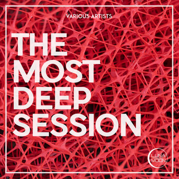 Various Artists - The Most Deep Session