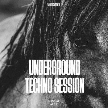Various Artists - Underground Techno Session