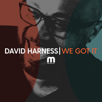 David Harness - We Got It